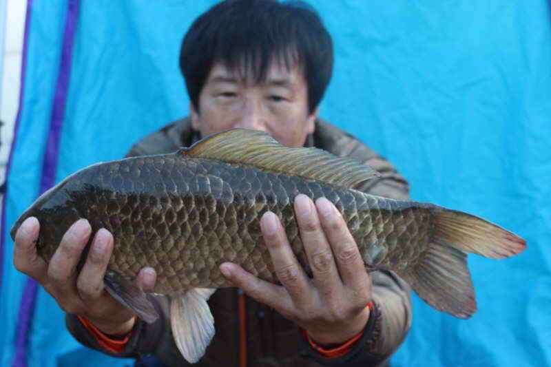jum_johwang_02482420.jpg