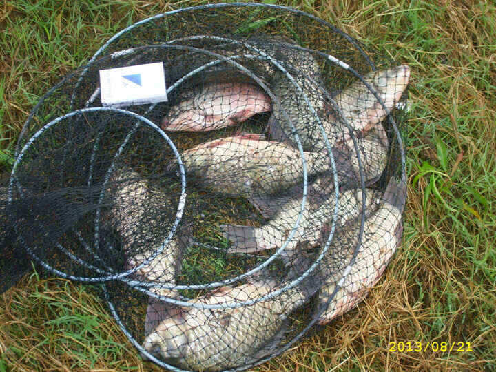 jum_johwang_03344895.jpg