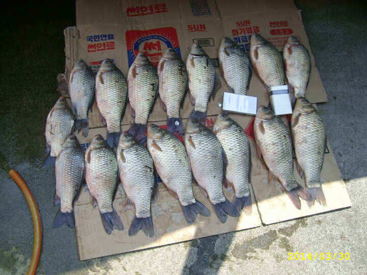 jum_johwang_04015797.jpg
