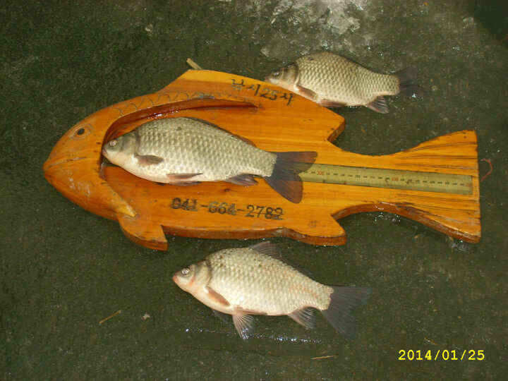 jum_johwang_04233977.jpg