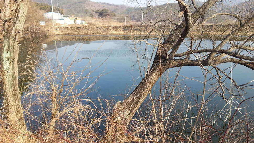jum_johwang_04500272.jpg