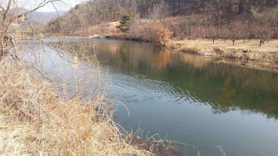 jum_johwang_04500965.jpg