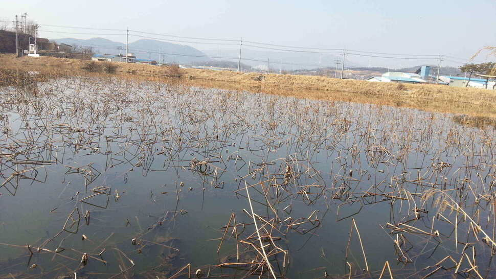 jum_johwang_04505148.jpg