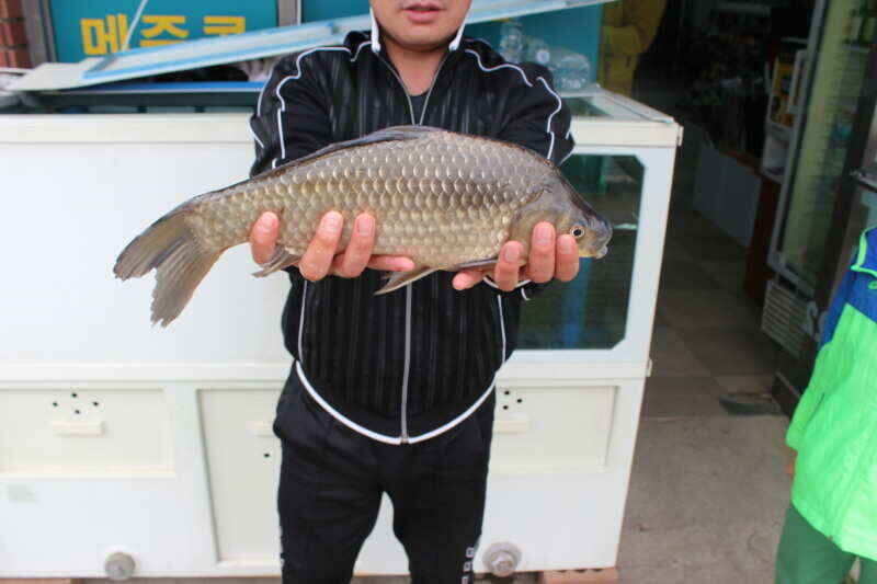 jum_johwang_062912100.jpg