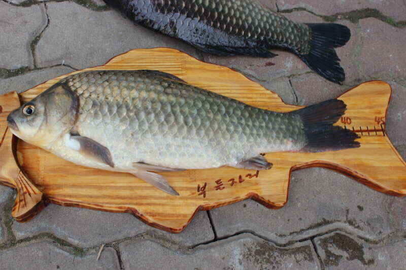 jum_johwang_0629166.jpg