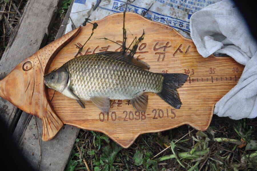 jum_johwang_07030158.jpg