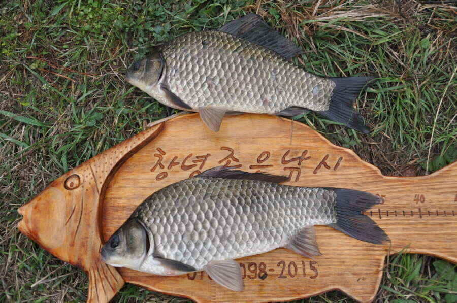 jum_johwang_07040630.jpg