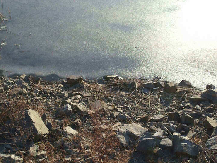 jum_johwang_08130685.jpg
