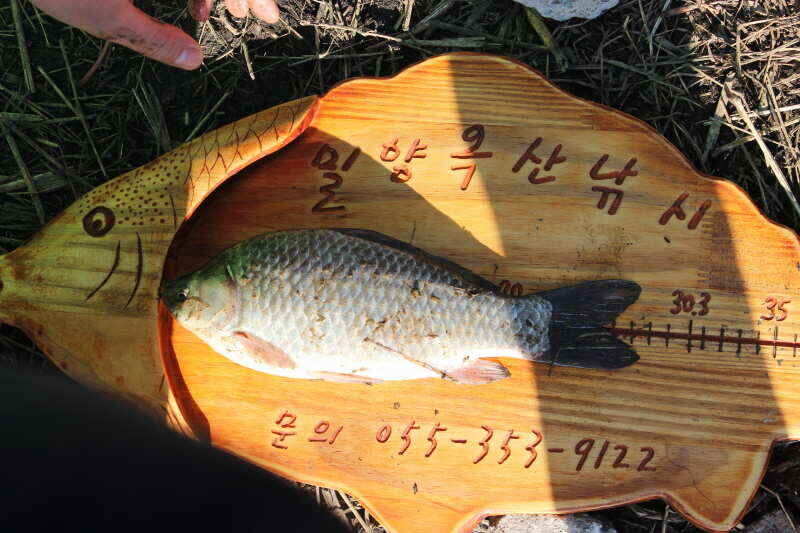 jum_johwang_08202938.jpg