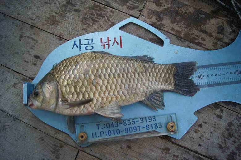 jum_johwang_09281138.jpg
