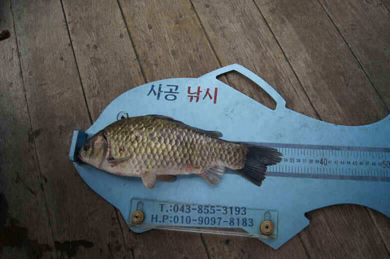 jum_johwang_09302783.jpg