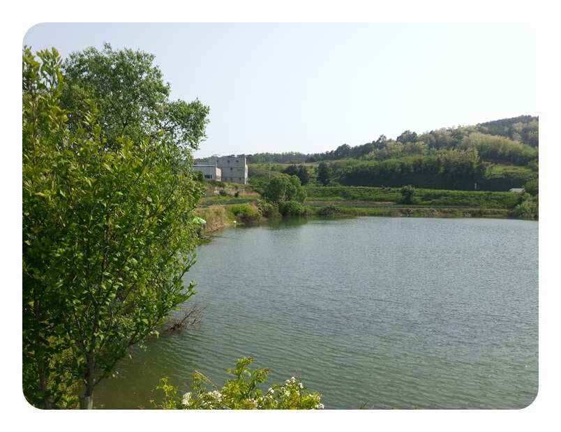 jum_johwang_09305136.jpg