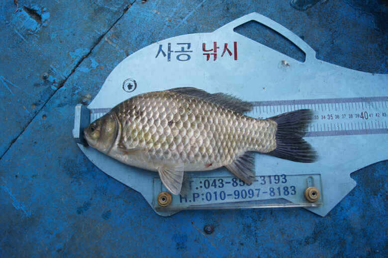 jum_johwang_09402247.jpg