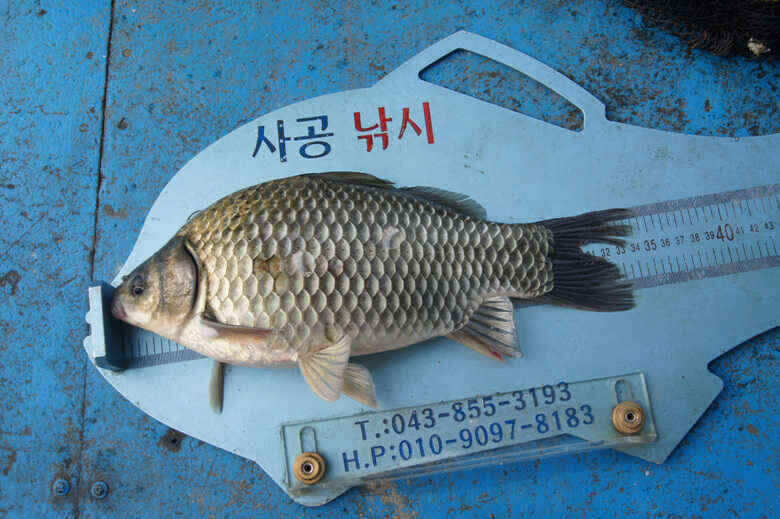 jum_johwang_09421315.jpg