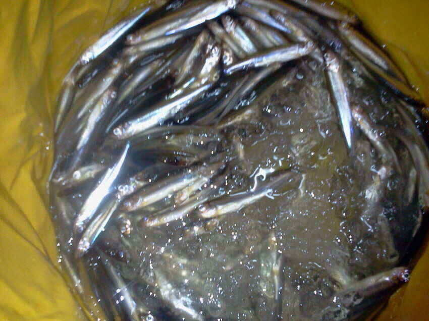 jum_johwang_1010456.jpg