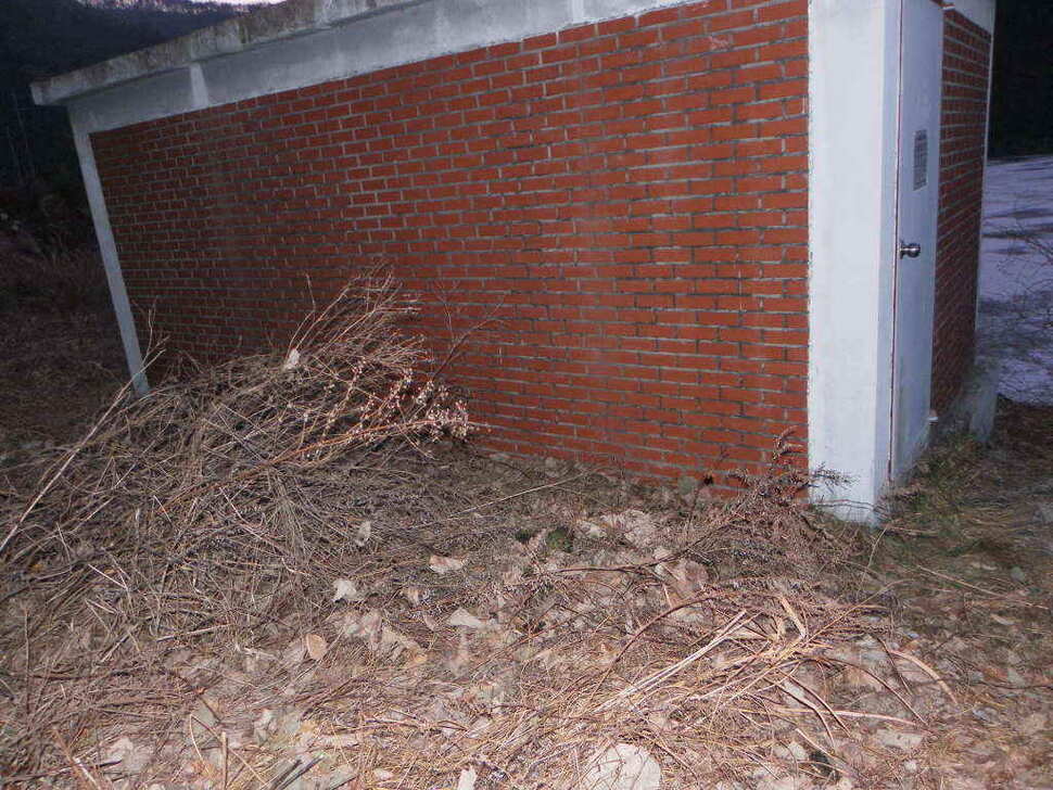 jum_johwang_10235744.jpg