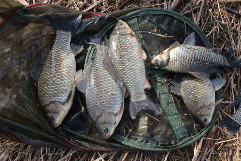 jum_johwang_10413114.jpg