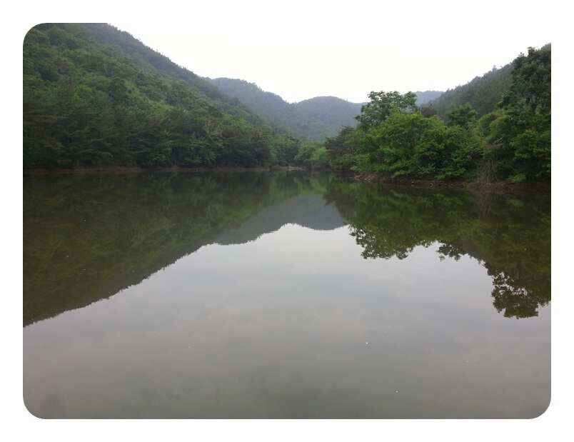 jum_johwang_10503916.jpg