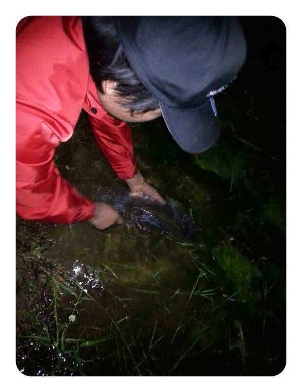 jum_johwang_10534882.jpg