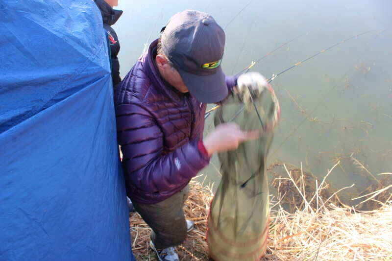 jum_johwang_10554358.jpg