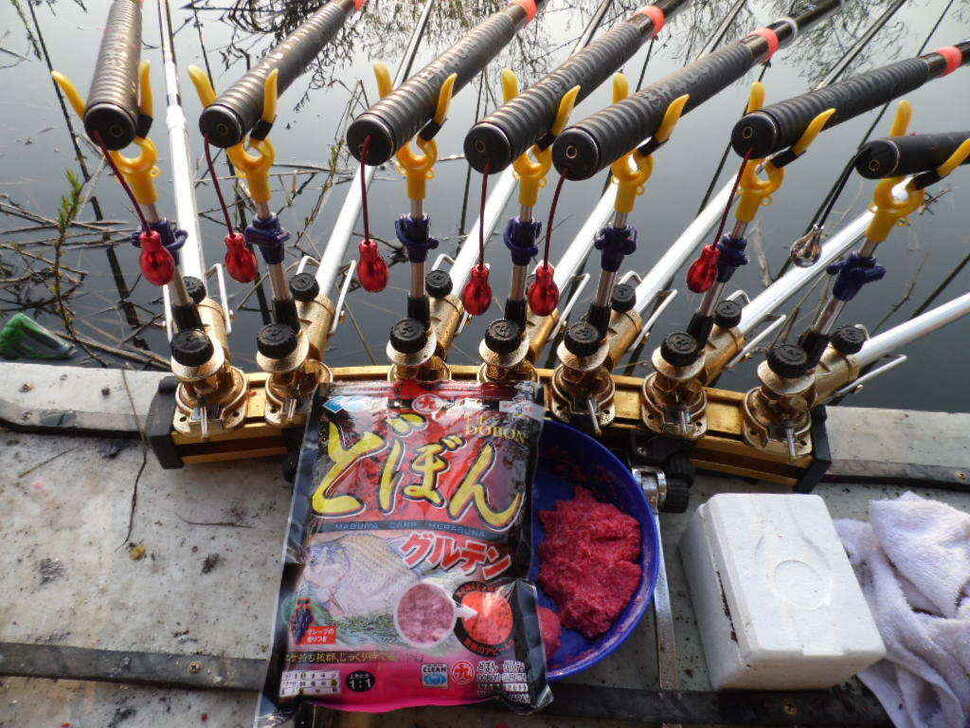 jum_johwang_11272930.jpg