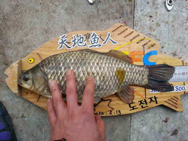 jum_johwang_11380812.jpg