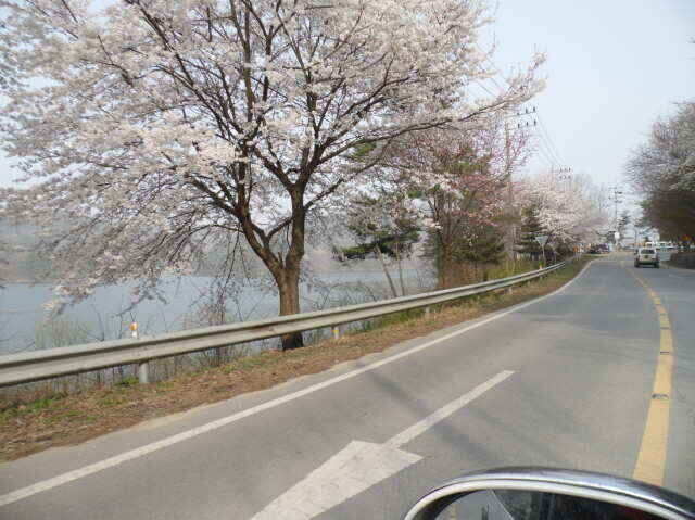 jum_johwang_11432996.jpg