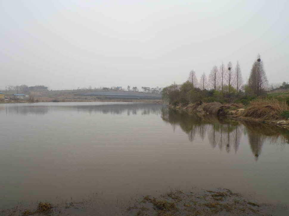 jum_johwang_1148084.jpg