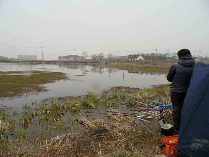 jum_johwang_11510251.jpg