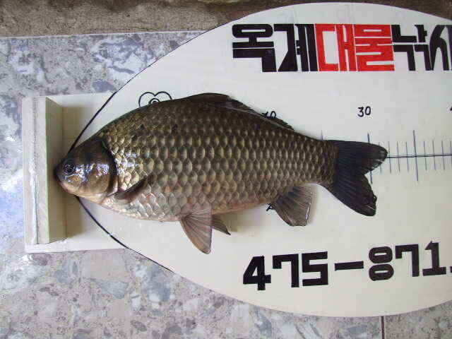 jum_johwang_12175737.jpg