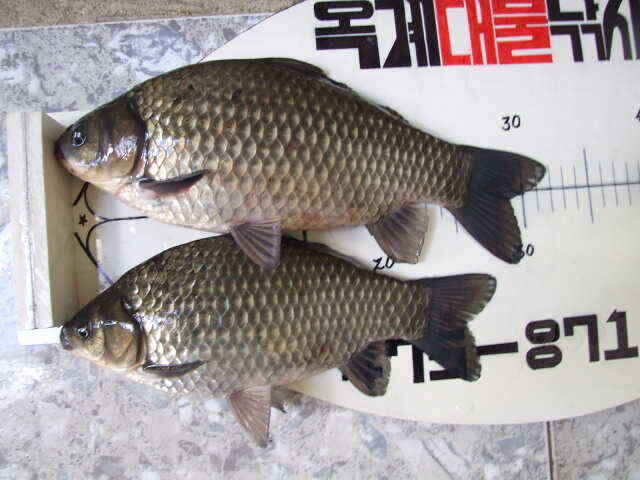 jum_johwang_12180237.jpg