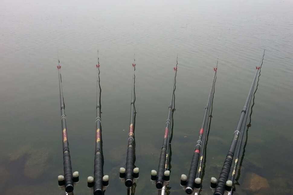 pro_johwang_01020519.jpg