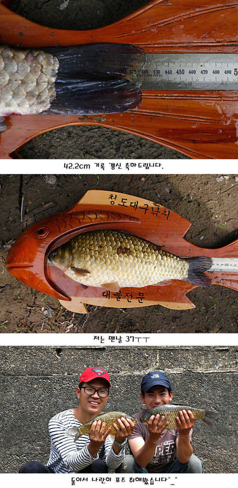 pro_johwang_01071536.jpg