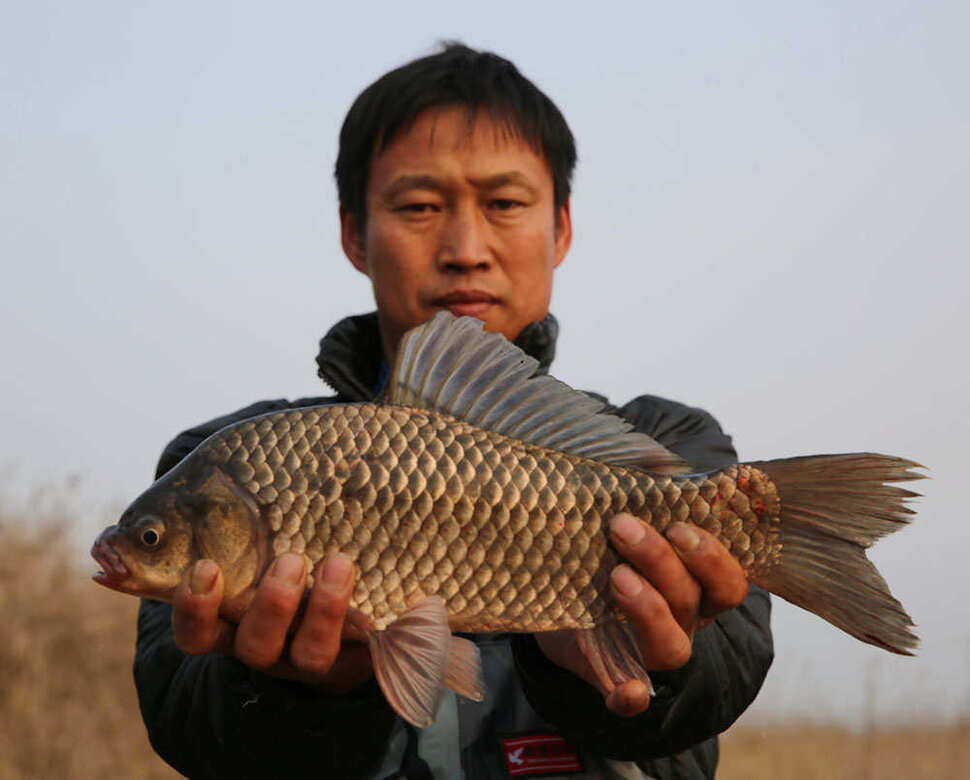 pro_johwang_01104626.jpg