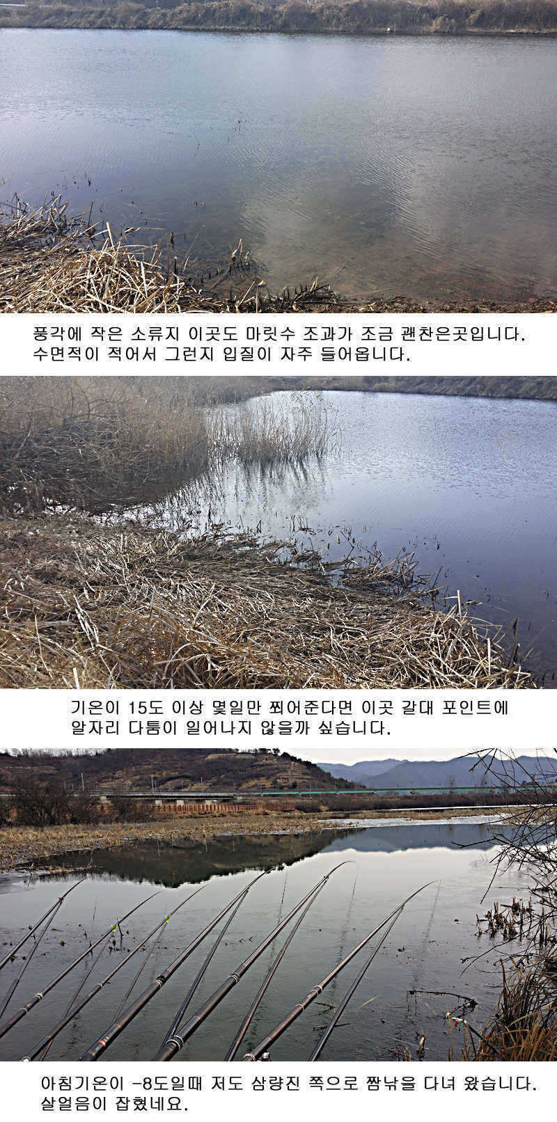 pro_johwang_01142524.jpg
