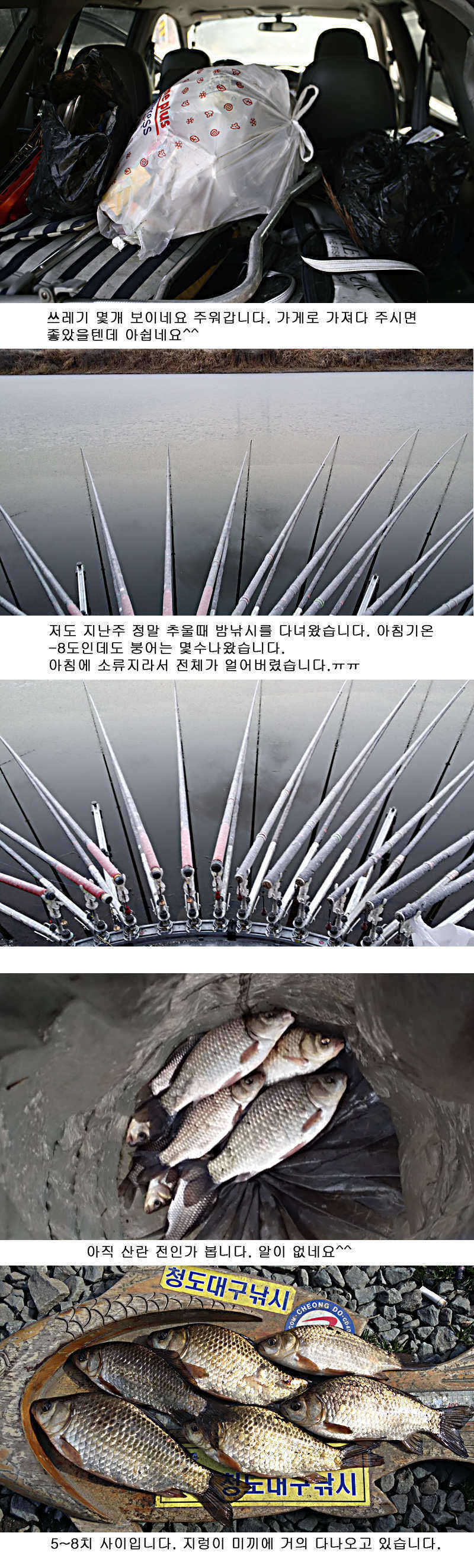 pro_johwang_01143716.jpg