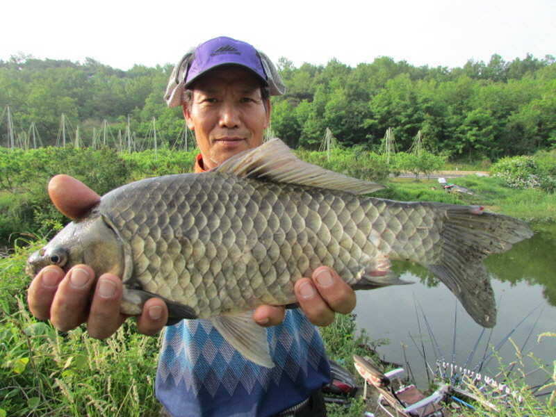 pro_johwang_01251842.jpg