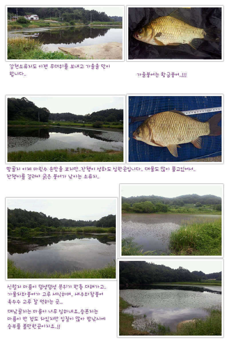 pro_johwang_0130072.jpg