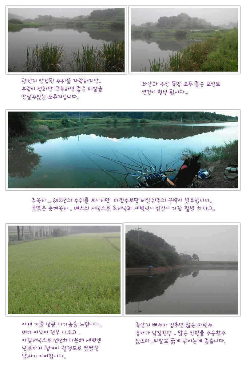 pro_johwang_01301924.jpg