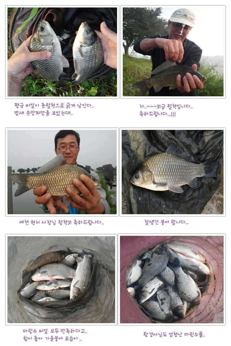 pro_johwang_01303158.jpg