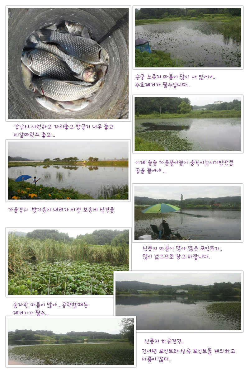 pro_johwang_01304774.jpg