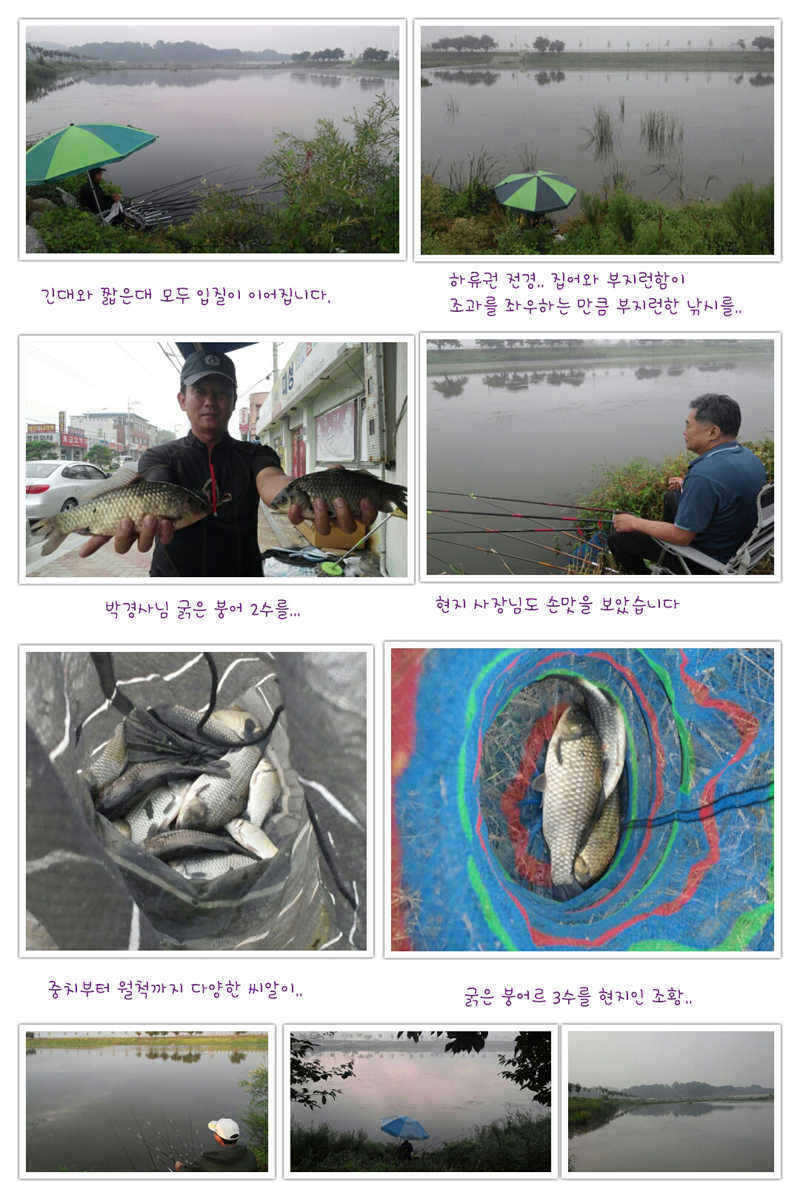 pro_johwang_01305742.jpg