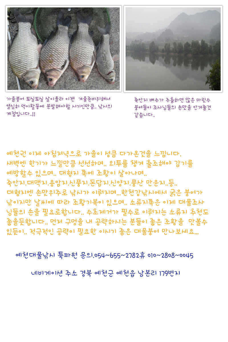pro_johwang_01310287.jpg