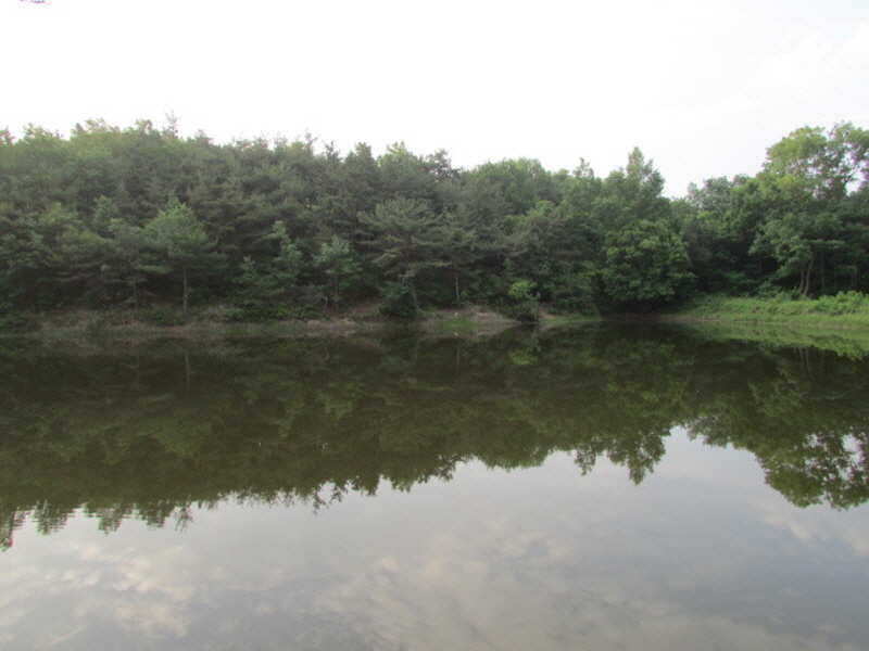 pro_johwang_01425128.jpg