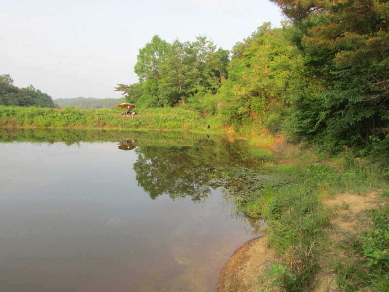 pro_johwang_01425713.jpg