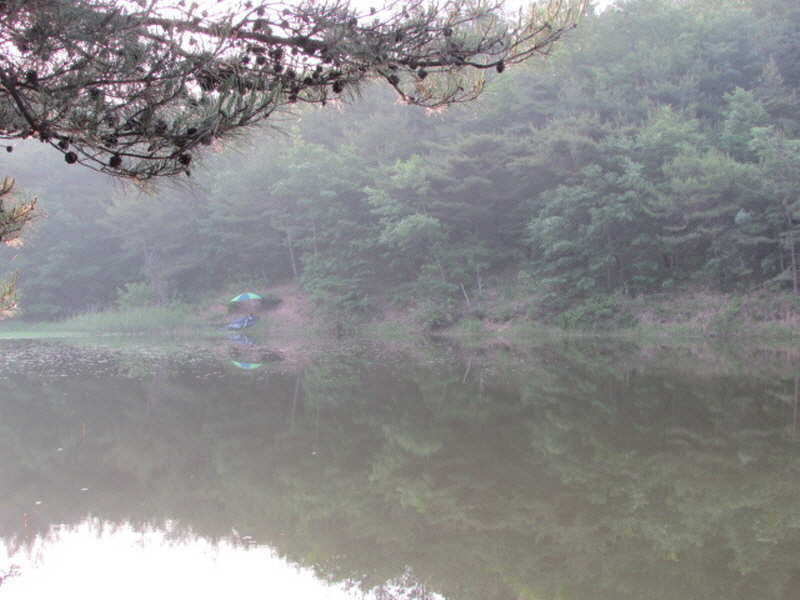 pro_johwang_01430315.jpg