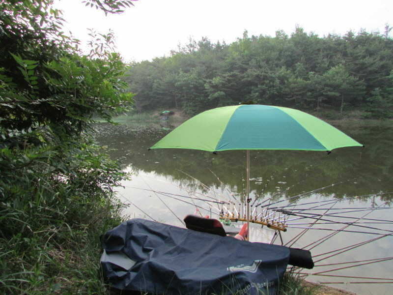 pro_johwang_0143102.jpg