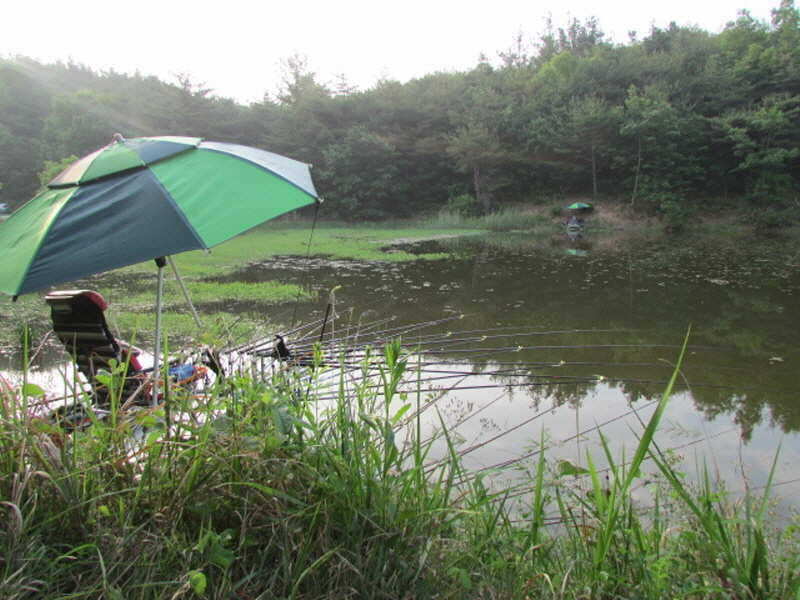 pro_johwang_01432052.jpg