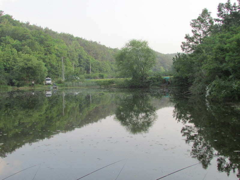 pro_johwang_01470060.jpg