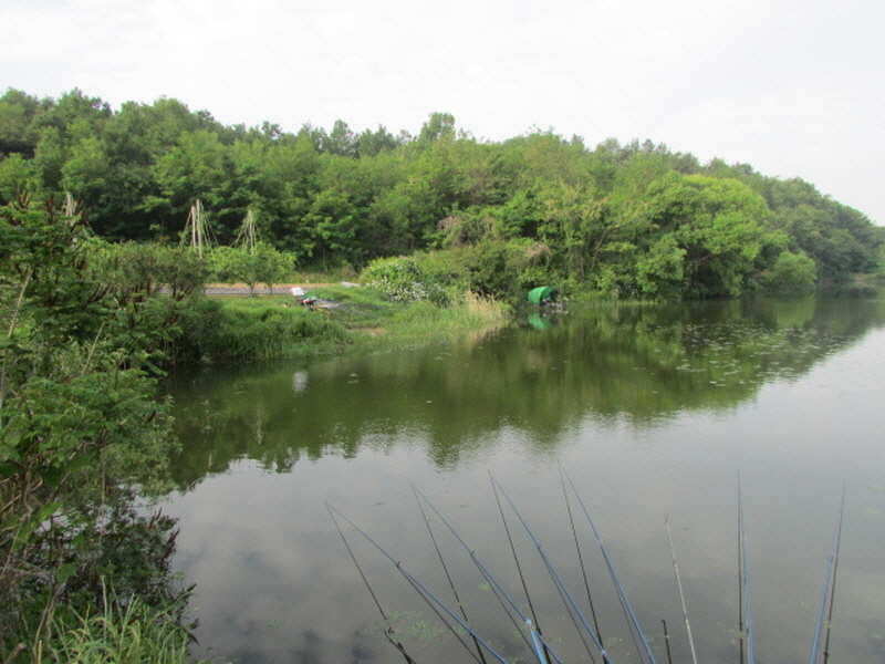 pro_johwang_01492253.jpg